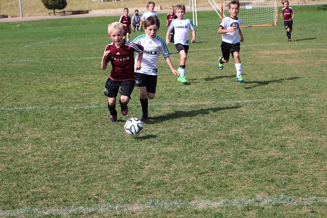 心理輔導以 心理輔導以