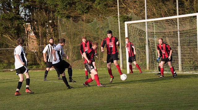 得分已经极 得分已经极