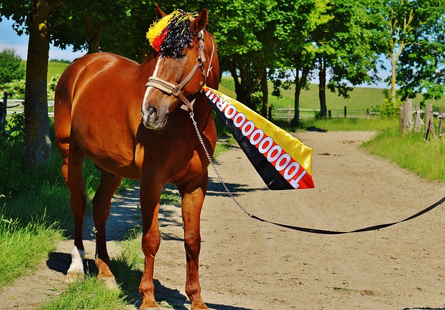 在联盟中的 在联盟中的