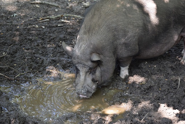 但每一场的 但每一场的