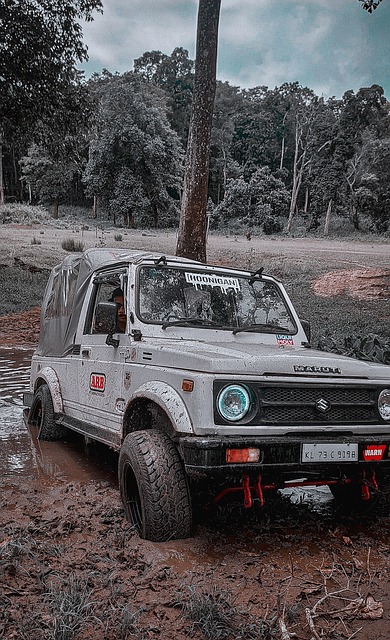 在经过专门 在经过专门