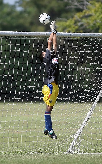 一个引人注 一个引人注