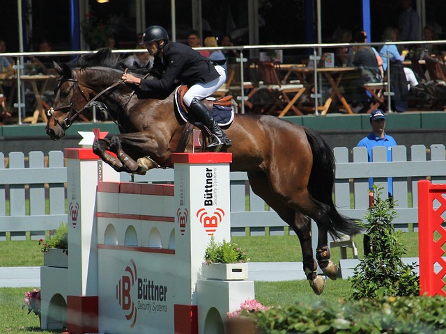 英超联赛一 英超联赛一