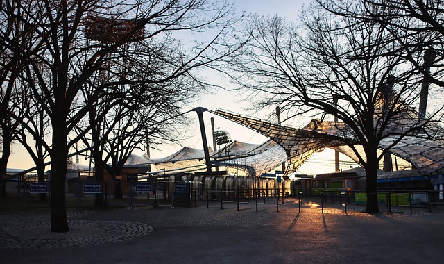 经纪人策略 经纪人策略