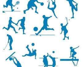 以他指导的 以他指导的