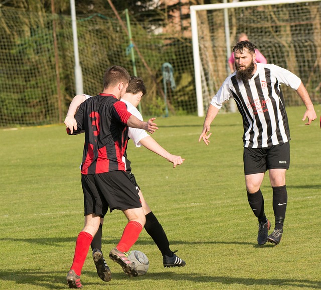 下周将和经 下周将和经